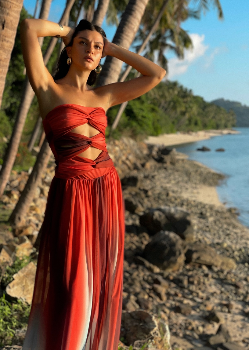 Janika – Ombre mesh cut-out – Midi dress-15168503972224-Santi Vento Atelier
