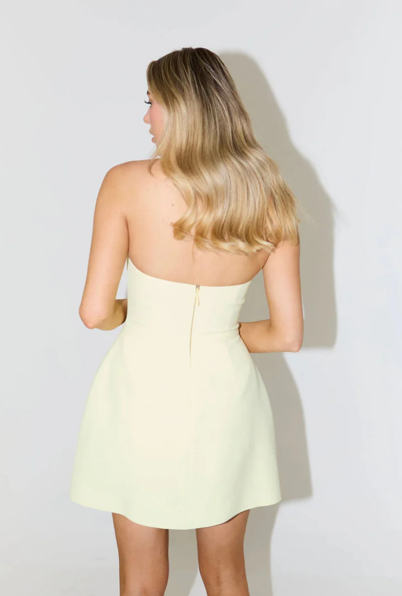 Serenata – Structured halter – Mini dress-10183970226503-Ivory Ombre